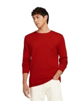 Tom Tailor Denim Herren Rundhals Pullover Mit Struktur - Regular Fit 40 Tom Tailor Denim Herren Rundhals Pullover Mit Struktur - Regular Fit -Zoe Bekleidungsgeschäft 41381 Denim Tom Ta 110 20013 1016090 2 1