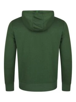 Riverso Herren Kapuzenpullover RIVTheo Regular Fit 30 Riverso Herren Kapuzenpullover RIVTheo Regular Fit -Zoe Bekleidungsgeschäft 43621 2RIVTheo H10052T21243EJD Cypress green back