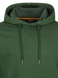 Riverso Herren Kapuzenpullover RIVTheo Regular Fit 34 Riverso Herren Kapuzenpullover RIVTheo Regular Fit -Zoe Bekleidungsgeschäft 43621 4RIVTheo H10052T21243EJD Cypress green d1