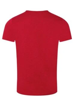 TIMEZONE Herren T-Shirt RIPPED BASIC - Regular Fit -Zoe Bekleidungsgeschäft 46433 TIMEZONE Gmb FW22 5045 22 10207 00 6233 2