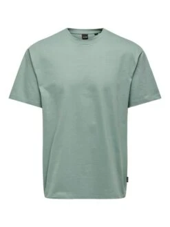 Only &amp; Sons Herren Rundhals T-Shirt ONSFRED - Relaxed Fit -Zoe Bekleidungsgeschäft 47194 ons 4097271 front
