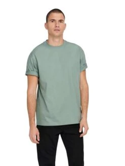 Only &amp; Sons Herren Rundhals T-Shirt ONSFRED - Relaxed Fit -Zoe Bekleidungsgeschäft 47194 ons 4097271 front1