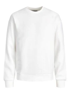 Jack &amp; Jones Herren Sweatshirt JJESTAR BASIC - Relaxed Fit -Zoe Bekleidungsgeschäft 47681 jj 3865499 front