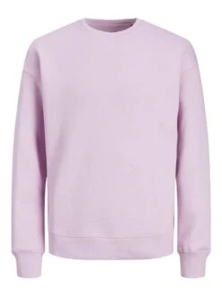 Jack &amp; Jones Herren Sweatshirt JJESTAR BASIC - Relaxed Fit -Zoe Bekleidungsgeschäft 47681 jj 4037084 front