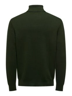 Only &amp; Sons Herren Rollkragen Pullover ONSPHIL - Regular Fit -Zoe Bekleidungsgeschäft 47763 ons 4077967 back