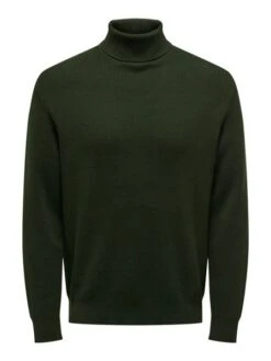 Only &amp; Sons Herren Rollkragen Pullover ONSPHIL - Regular Fit -Zoe Bekleidungsgeschäft 47763 ons 4077967 front
