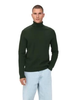Only &amp; Sons Herren Rollkragen Pullover ONSPHIL - Regular Fit -Zoe Bekleidungsgeschäft 47763 ons 4077967 front1