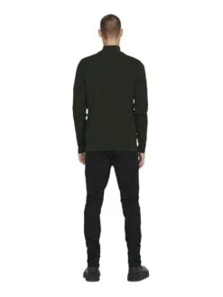 Only &amp; Sons Herren Stehkragen Pullover ONSPHIL - Regular Fit -Zoe Bekleidungsgeschäft 47764 ons 3967752 back1